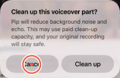 voiceover-cleanup-confirmation-tight.jpg
