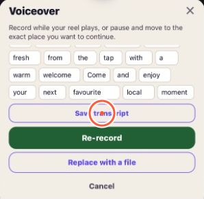 voiceover-save-transcript-tight.jpg