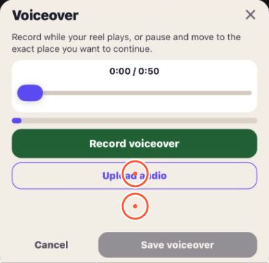 voiceover-panel-tight.jpg